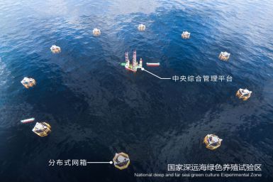 青岛国家深远海绿色养殖试验区项目入选2021年省重大增补项目名单